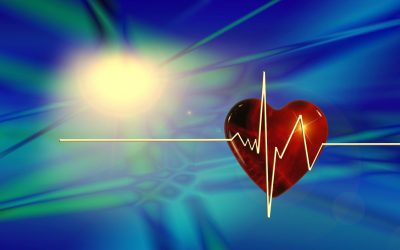 Acudimos al XV Congreso de la Sociedad Andaluza de Cirugía Cardiovascular